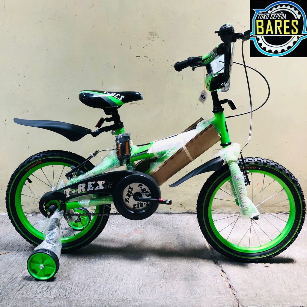 Sepeda BMX Anak 16 Family T-Rex