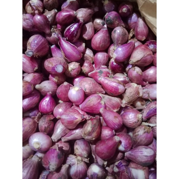 

BAWANG MERAH BREBES SEDANG CAMPUR 1KG