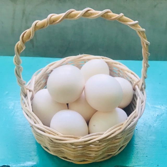 

Telor ayam kampung