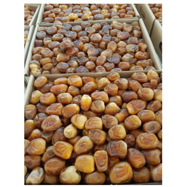 

kurma sukari ukuran 3 kg