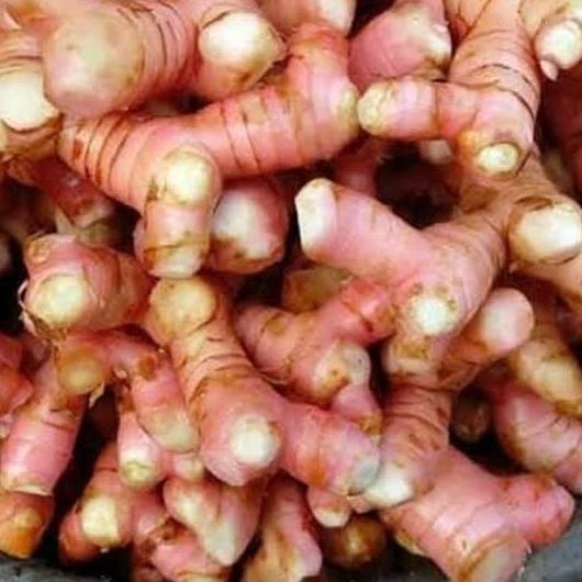

PROMO lengkuas/Laos/laja super 1 kg MURAH