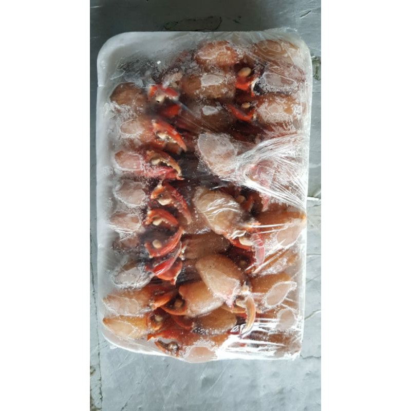 

Capit Kepiting