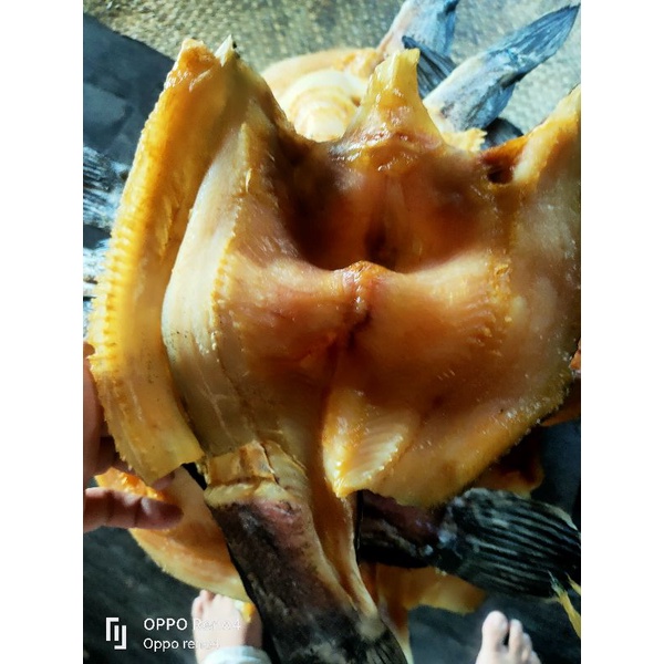 

Garih Tauman Khas Banjarmasin