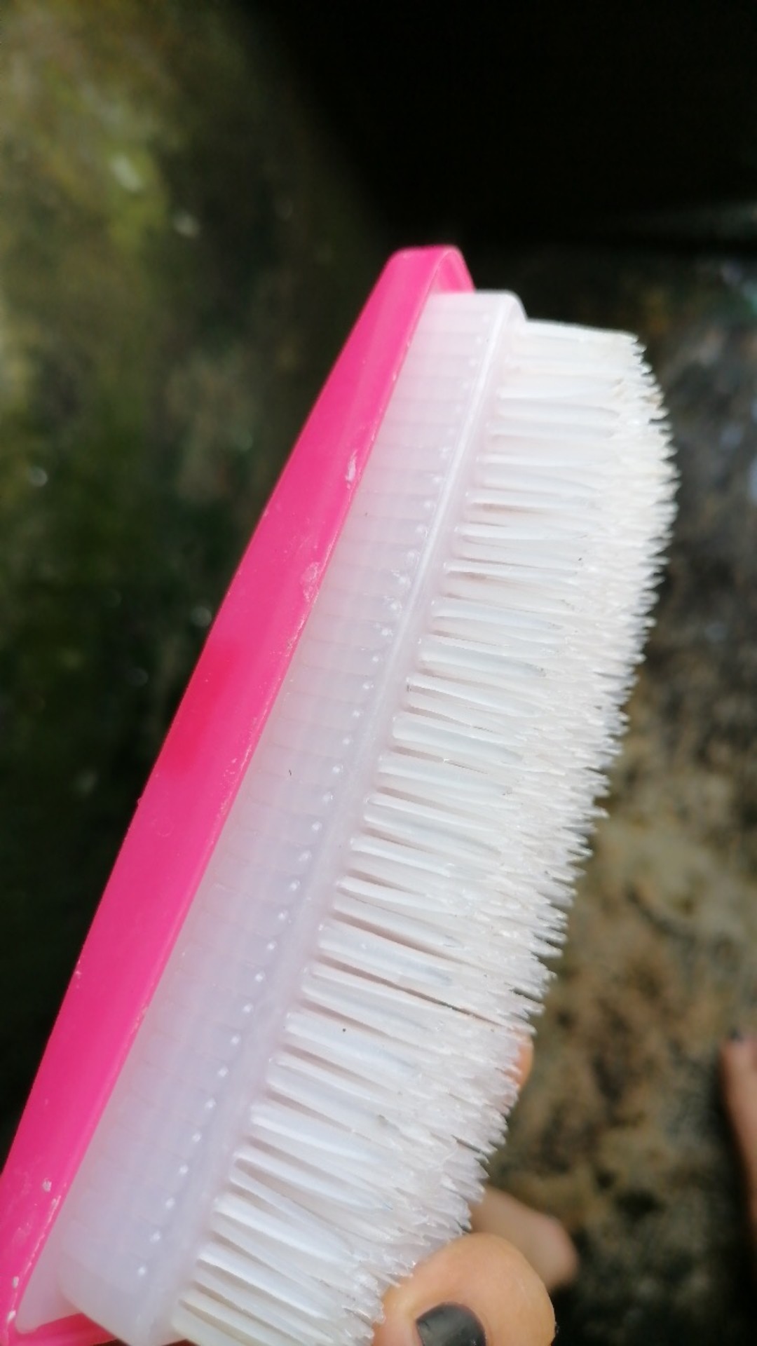 Sikat Cuci Baju Awet Kuat Murah / Sikat Cuci Baju Plastik Model Panda Kotak