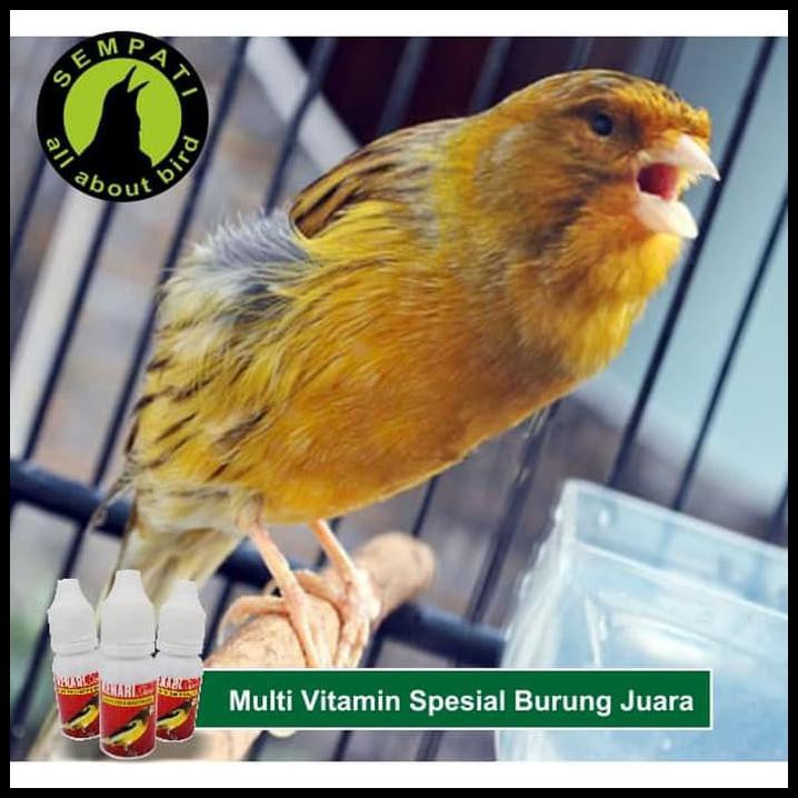 Harga Khusus Kenari Show Super Kicau Vitamin Burung Suara Jernih