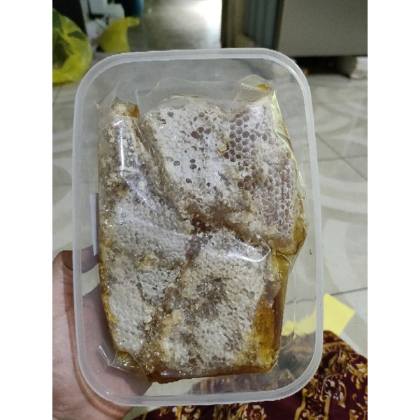 

sarang madu liar asli cerana 500gr