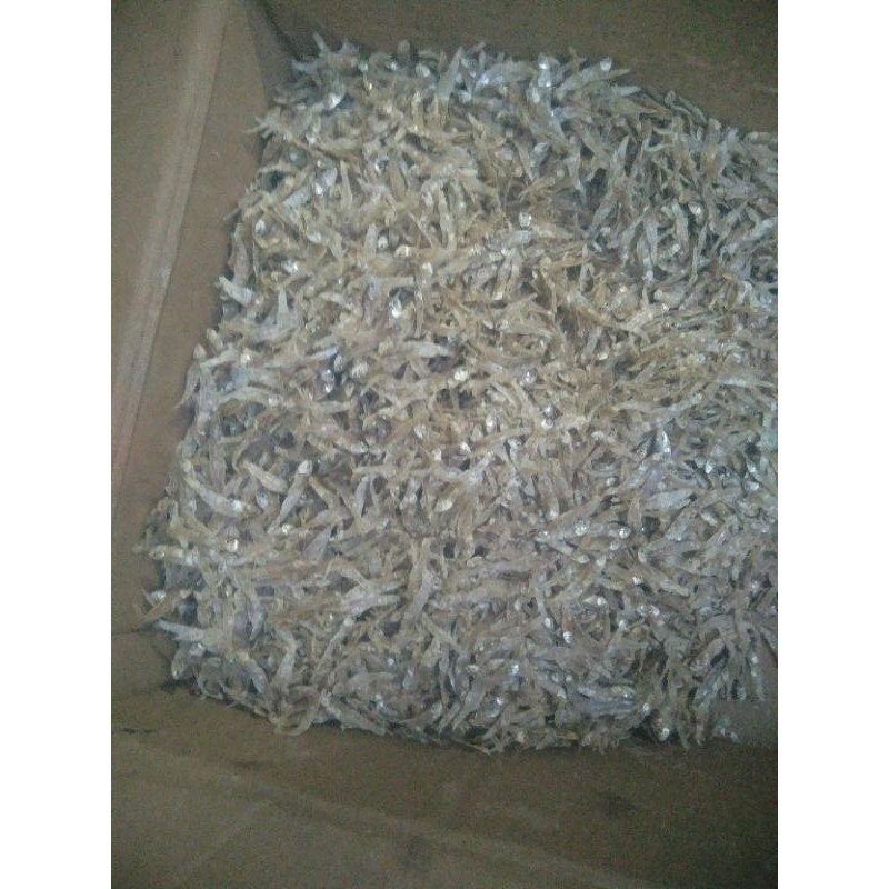 

Teri tawar bunga