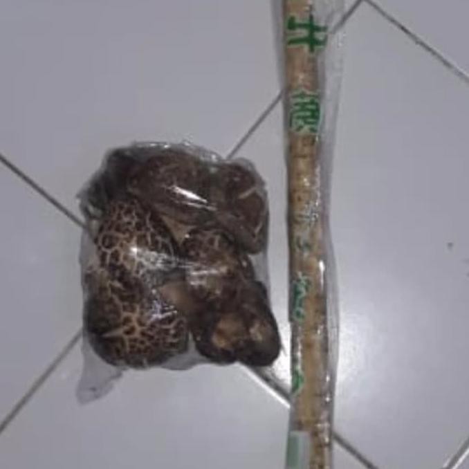 

Promo !! EXCLUSIVE akar gobo burdock 500g dan jamur shitake 250g lebih hemat T Terbaru