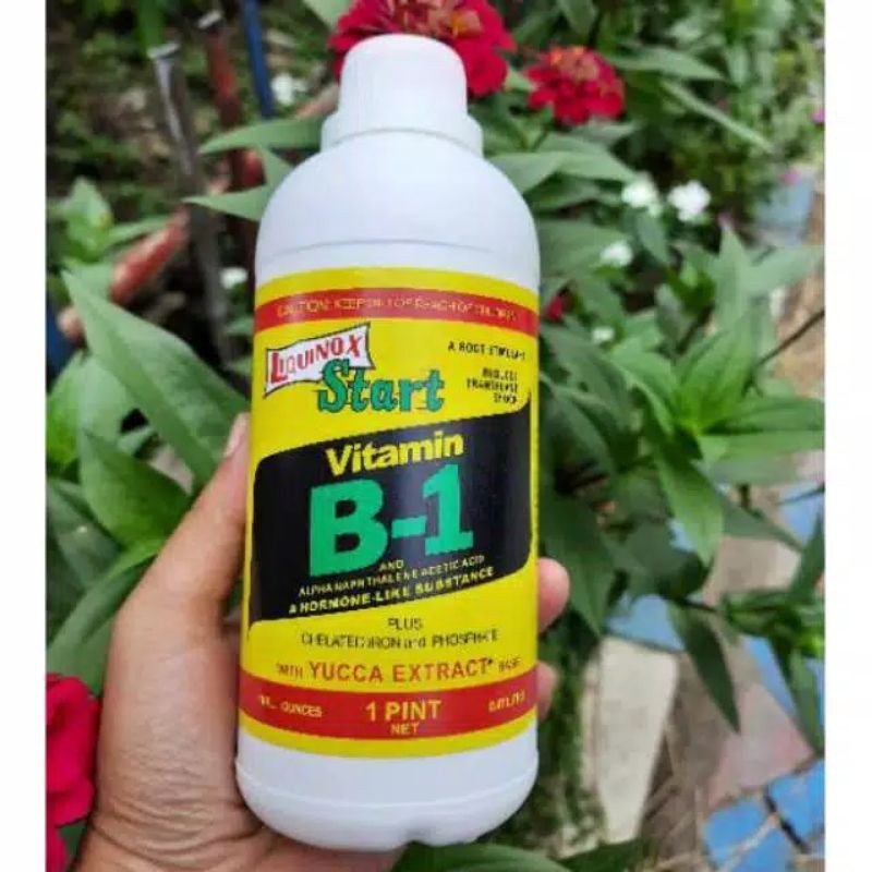 LIQUINOX VITAMIN B1 500 ML HORMON PUPUK CAIR ZPT ORIGINAL