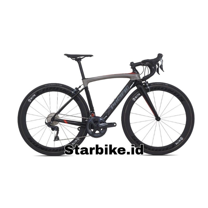 Sepeda Balap Roadbike 700c Pacific Primum 9.0 Carbon Ultegra 2x11 Speed