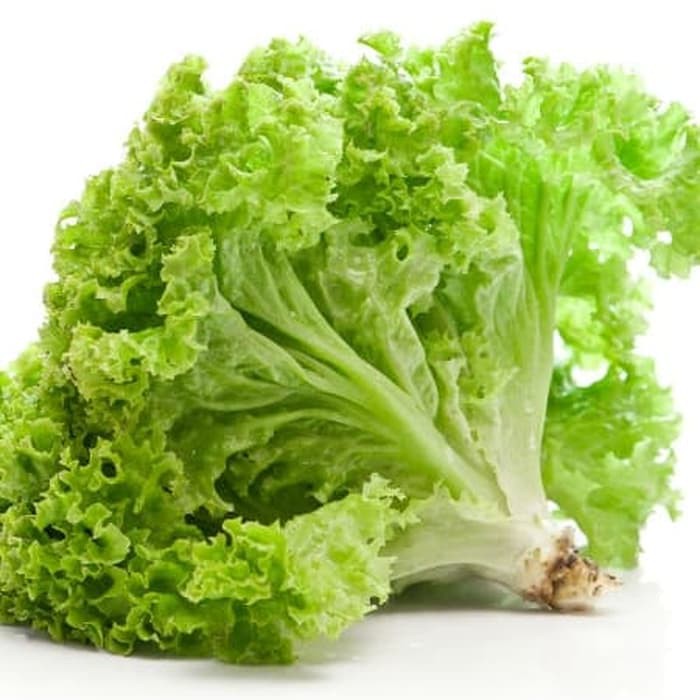 

Salada Hijau Hidroponik 250 gram