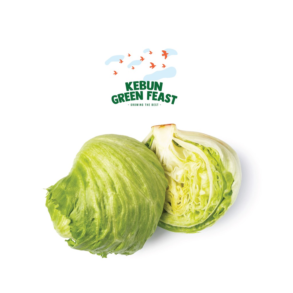 

Iceberg Lettuce