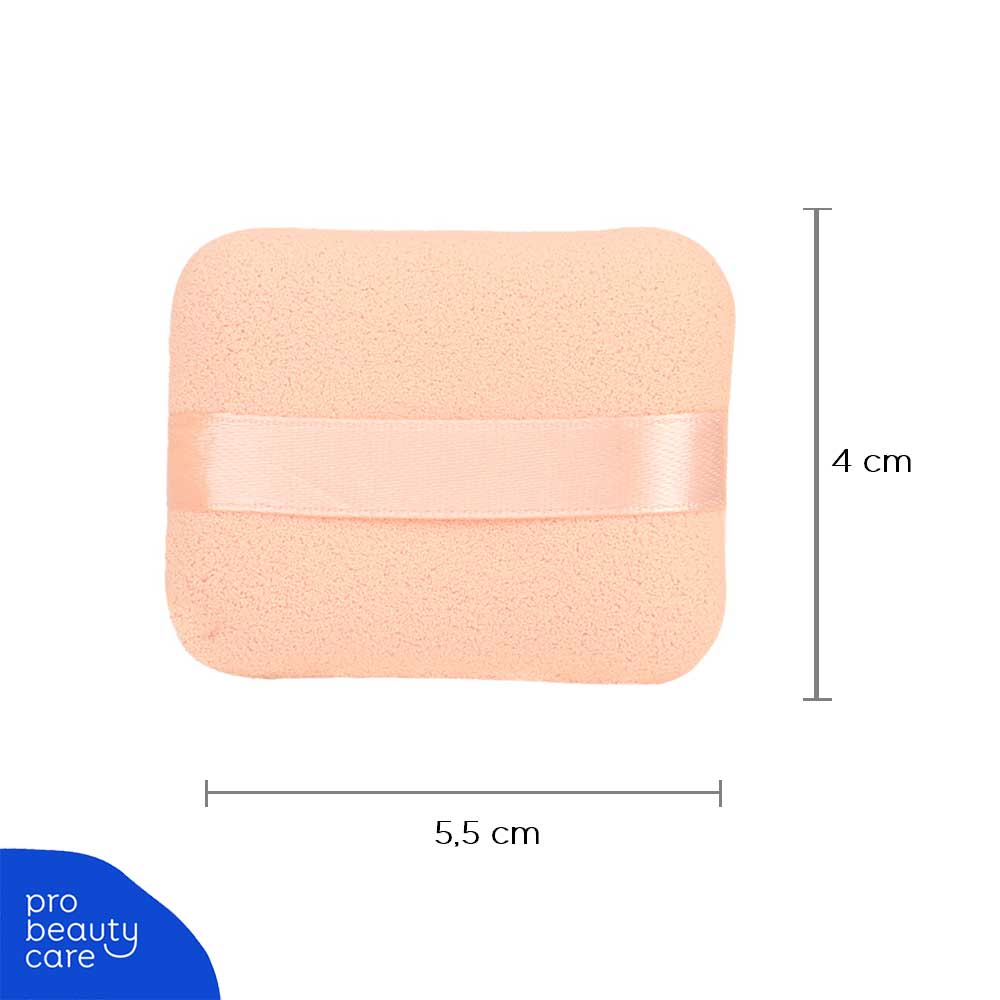 Spons Bedak (Facial Sponge Square) P138A