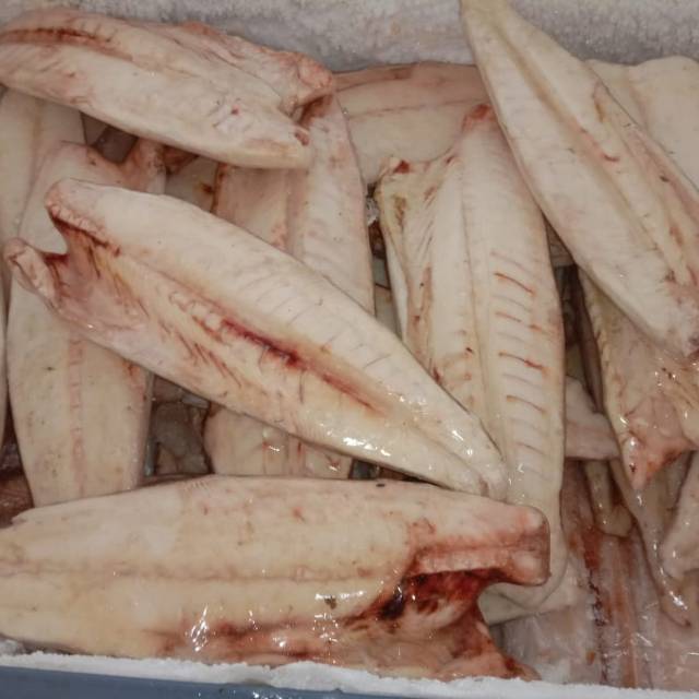 

IKAN GINDARA FILLET FROZEN