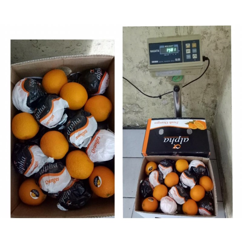 

Jeruk Sunkis Valencia Egypt (14 Kg) Fresh Import