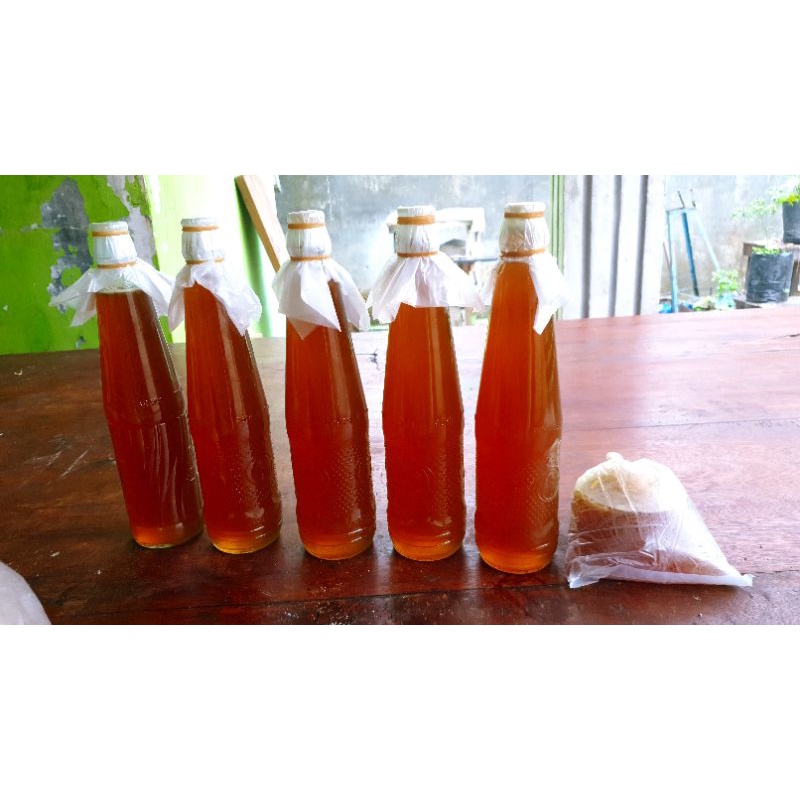 

madu murni hutan asli pokok kayu tualang madu liar
