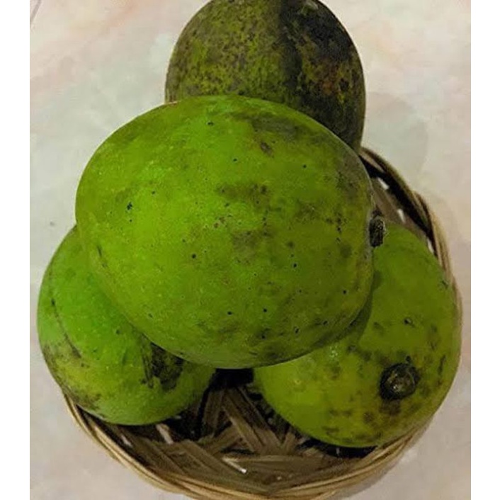 

buah mangga kweni segar 1kg