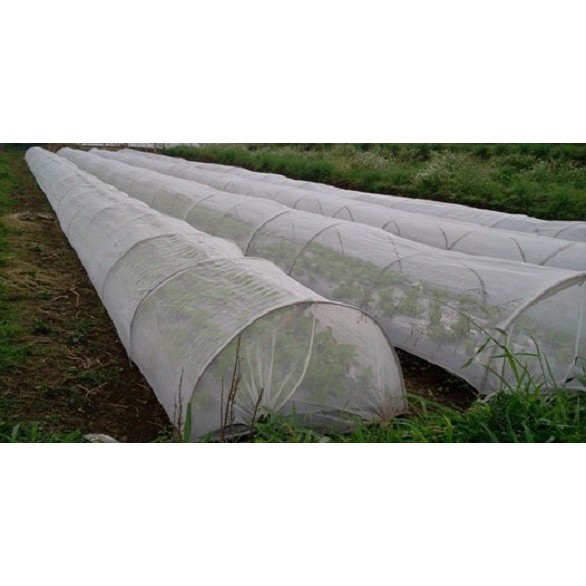 PLASTIK SUNGKUP PE Tanaman Ketebalan 0,15 mm Panjang 25 Meter