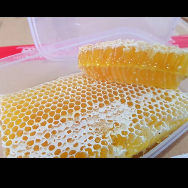 

Madu Sarang Mellifera 250 gr Pasuruan