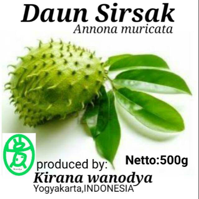 

Daun Sirsak Bubuk 500g - Kirana