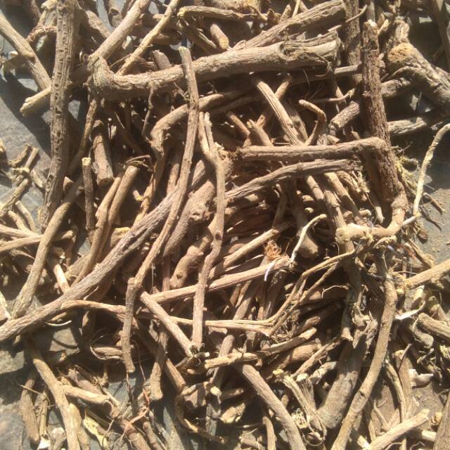 

Akar manis atau kayu Legi