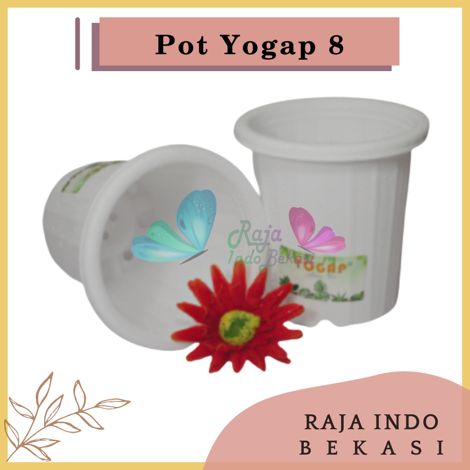 Pot Yogap 8 Putih Pot Yogap 10 13 15 17 18 19 25 30 Pot Yogap Murah