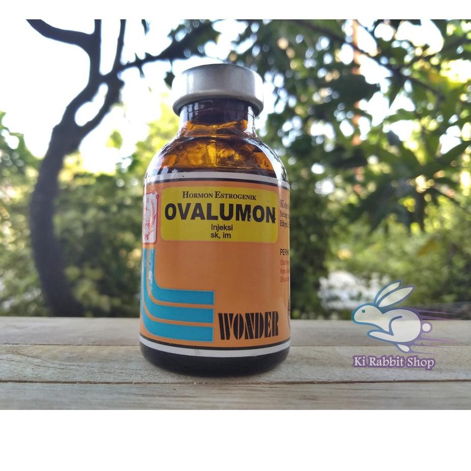 『Murah』 (Termurah) OVALUMON 20 ml - Obat Birahi Hewan Suntik Untuk Kelinci Kucing Anjing Kambing Sap