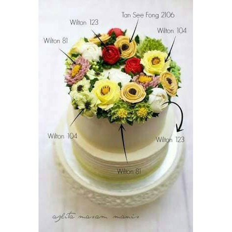 Terlaris Spuit 56 Pcs Set Stainless Import Bentuk Spuit Mirip Wilton