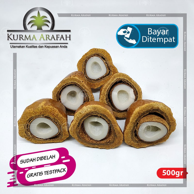 Buah Zuriat Belah, Doum, Yuriat, Buah Adam Hawa, Zuriat Nabi 500gr ORIGINAL ( Sudah Dibelah )