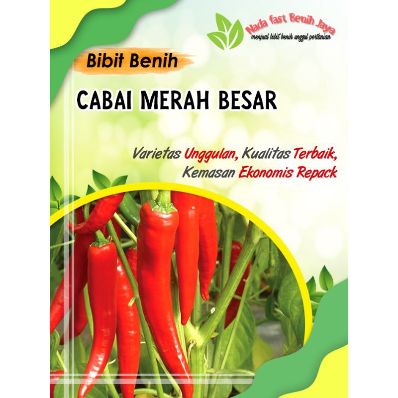 10 biji benih cabe merah besar super / bibit cabai merah besar