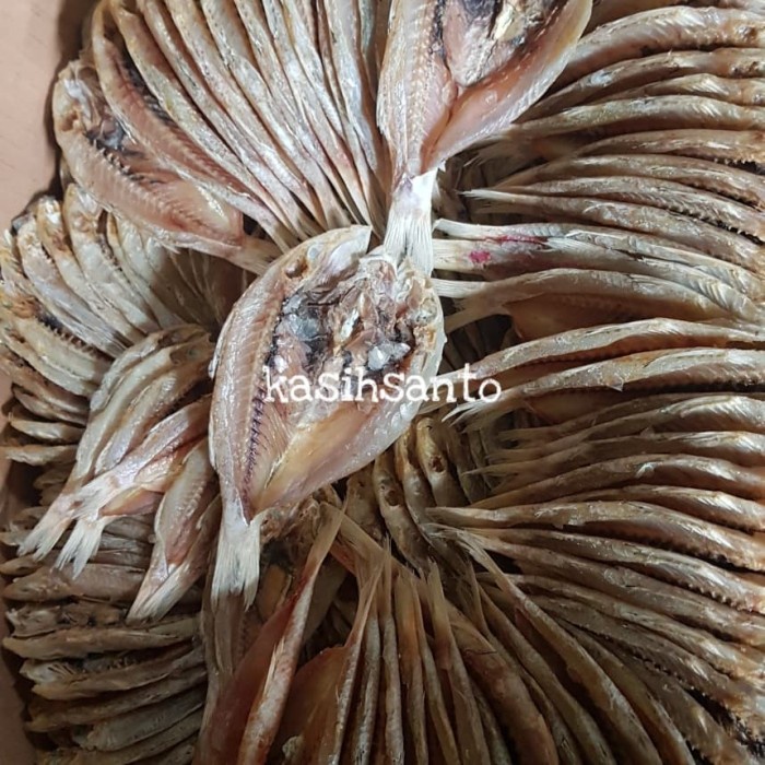 

Q124521 Ikan Asin Kuniran Belah 1Kg Dw501Sqs