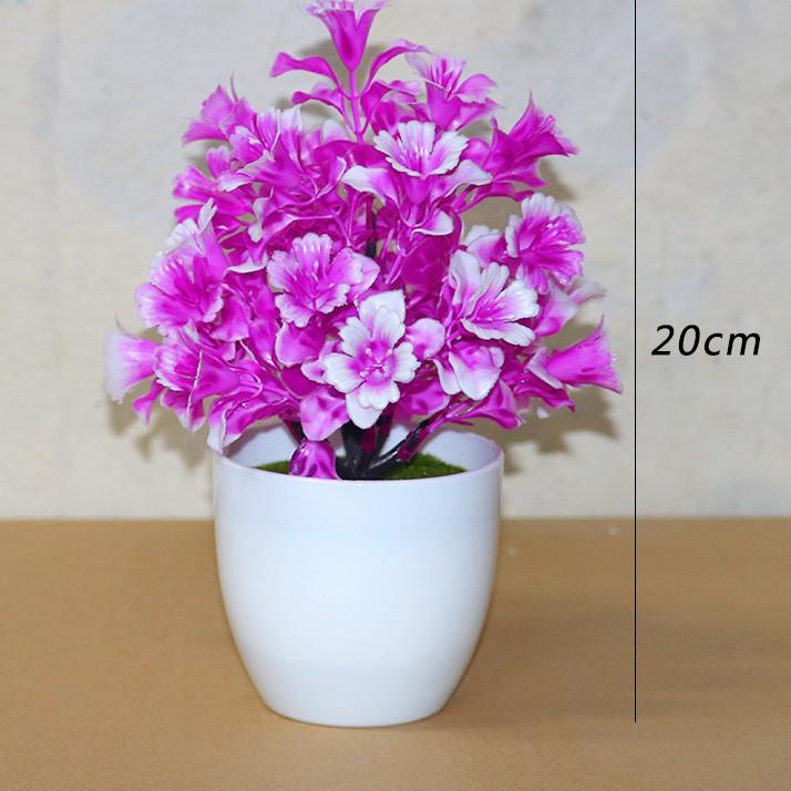 «BIG SALE» MOLAMOLA PT42 Pot Tanaman Hias Bunga Hias Plastik Ornamen Pot Bongsai Artificial Flower D