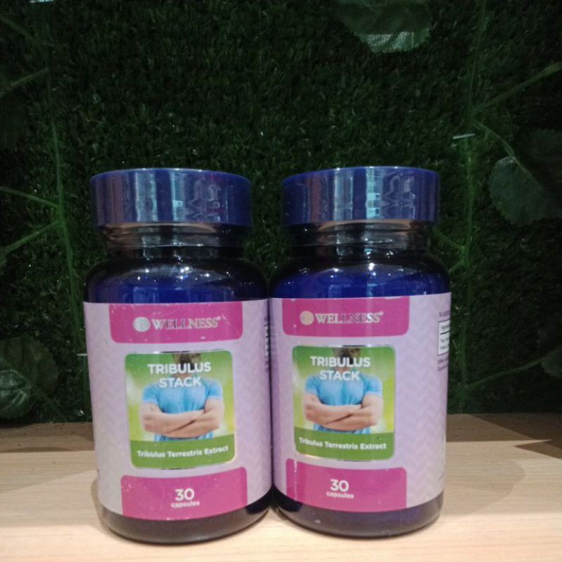WELLNESS TRIBULUS STACK 30 KAPSUL
