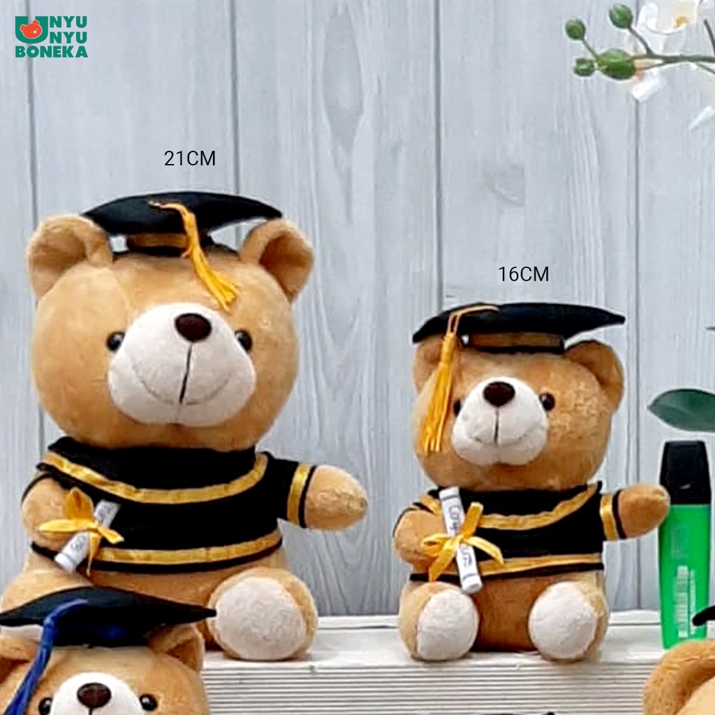 Boneka toga wisuda teddy bear beruang graduation souvenir Cute