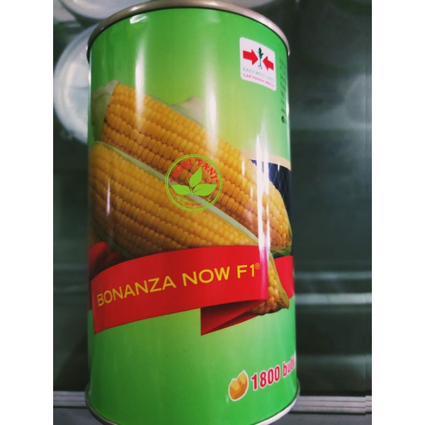 BENIH JAGUNG MANIS BONANZA NOW KALENG ISI 1.800 BUTIR
