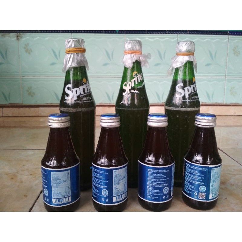 

madu klanceng