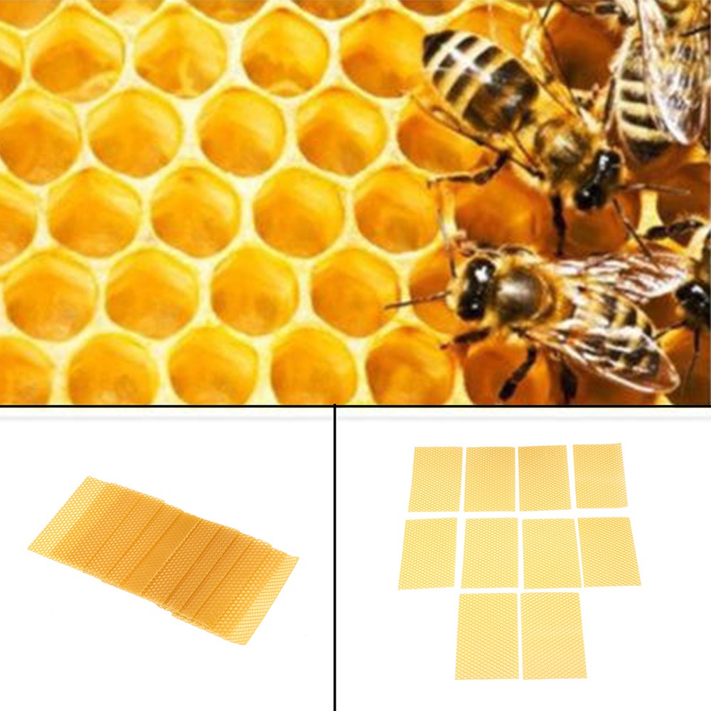 10pcs Honeycomb Foundation Bee Hive Wax Frames Beekeeping Apiculture Equipment