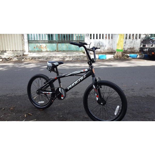 Phoenix BMX Rotor