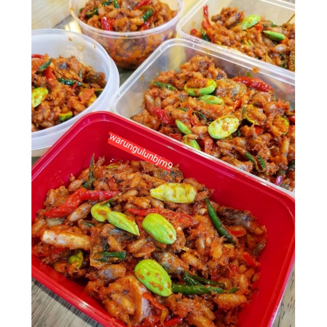

Baby cumi padat besar 500gr