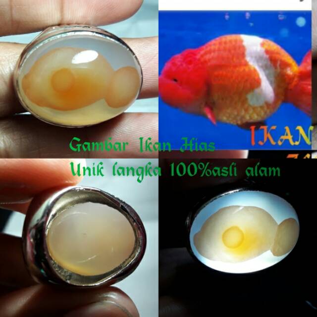 NATURAL BATU AKIK GAMBAR IKAN HIAS KERISTAL UNIK LANGKA ASLI ALAMI 09