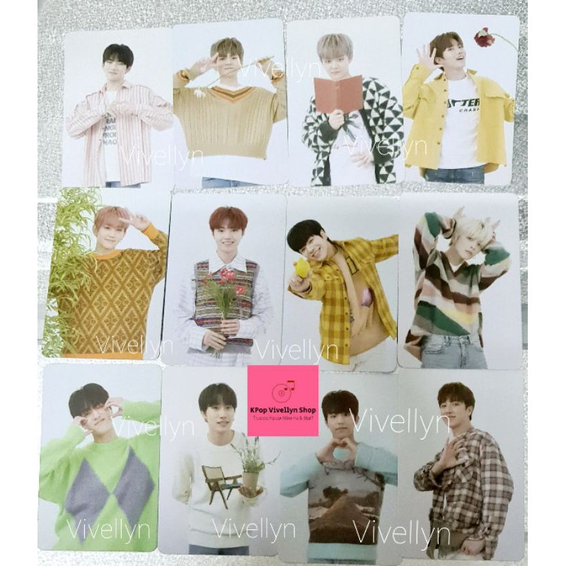Photocard Full album Treasure AR / 1st ed, Postcard, File folder (official)