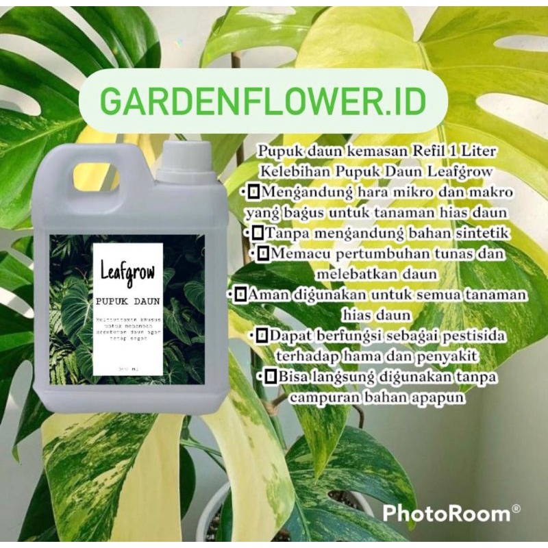 PROMO REFFIL  Pupuk& Hormon tanaman kemas 1liter //vitamin aglonema / vitamin keladi/pupuk keladi /p