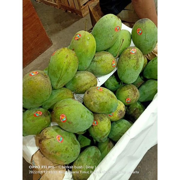 

mangga hm 1 kg