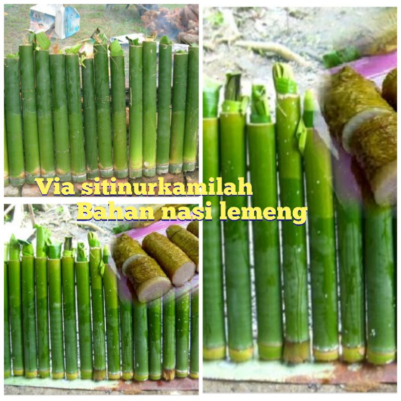 

bambu bahan nasi lemeng