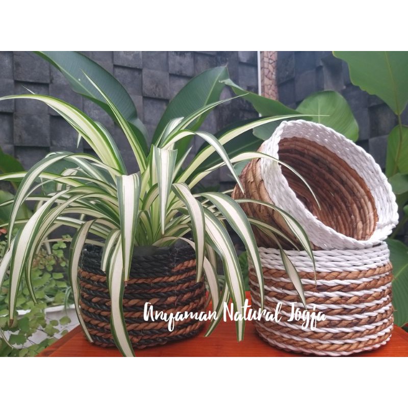Cover pot anyaman/pot tanaman/pot bunga/pot natural/cover pot bunga
