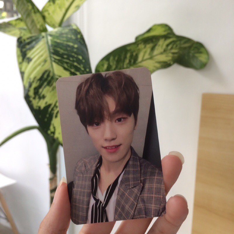 pc gongbang/broadcast seventeen dino thanks