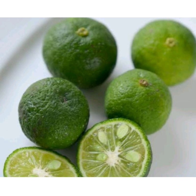 

Jeruk Limau / Limo 100 gr