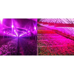 LED 3W Grow Light HPL Full Spectrum 400nm-840nm Lampu Tanaman Tumbuhan