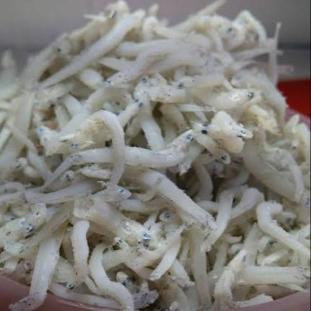 

Teri Nasi