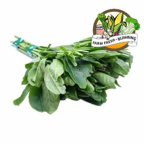 

daun gingseng 250 grm